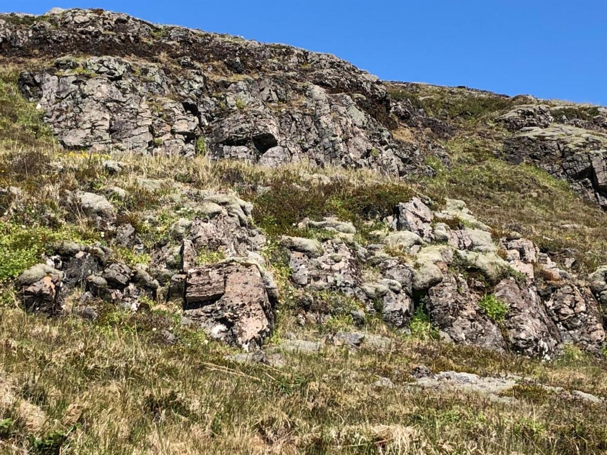 Mosas Cottages Flúðir Eksteriør billede