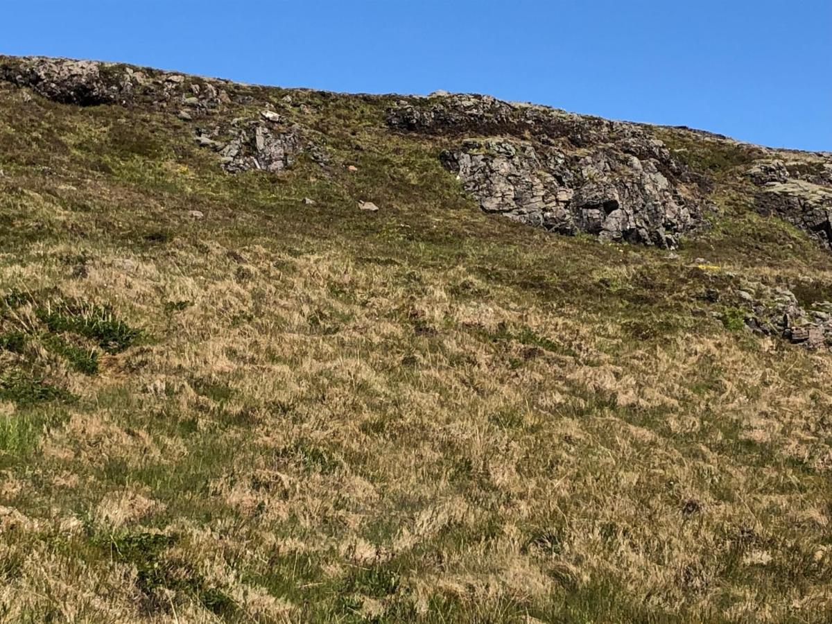 Mosas Cottages Flúðir Eksteriør billede